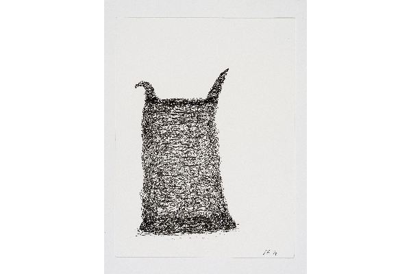 Drawn into Life XIV, ink on Canson Bristol, 9x12 in.